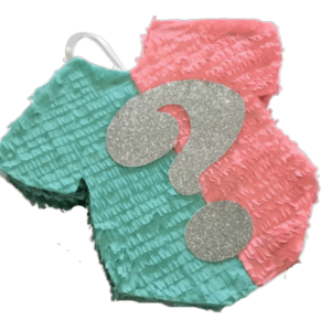 Piñata revelación camiseta