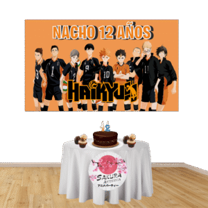 Cartel Haikyuu!
