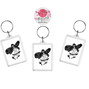 llaveros One Piece x10