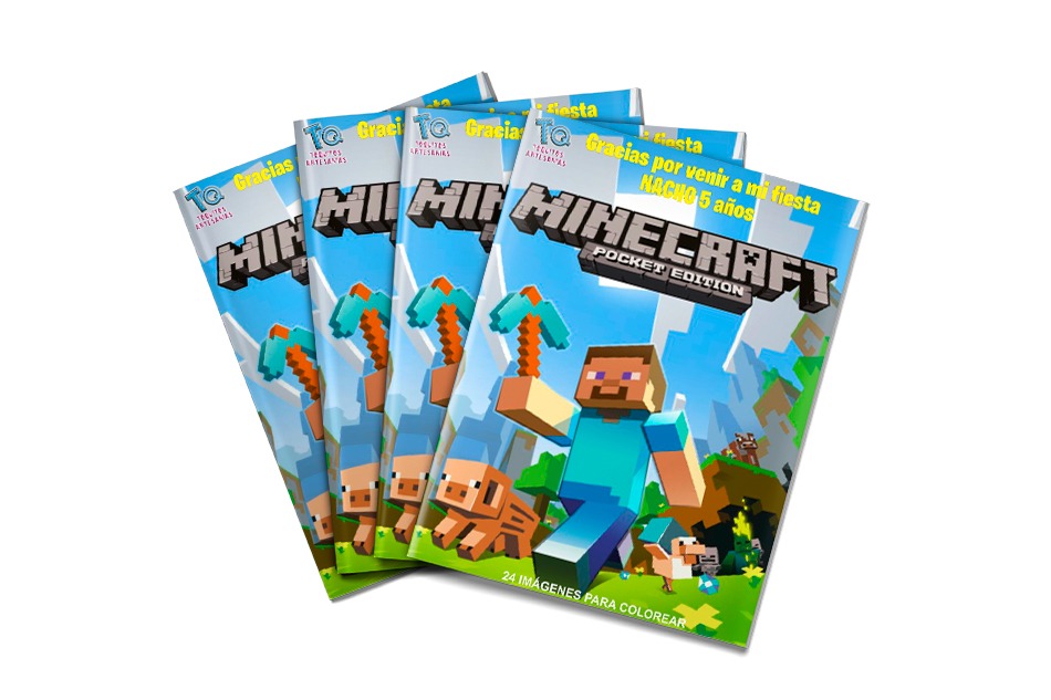 Libros souvenirs Minecraft