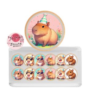 Galletas Capibara x12