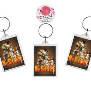 llaveros Dr Stone x10